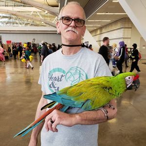 Meet your Posher, Wayne